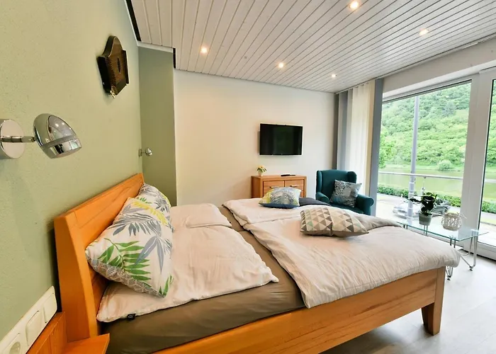 Moselblick 公寓 克洛滕